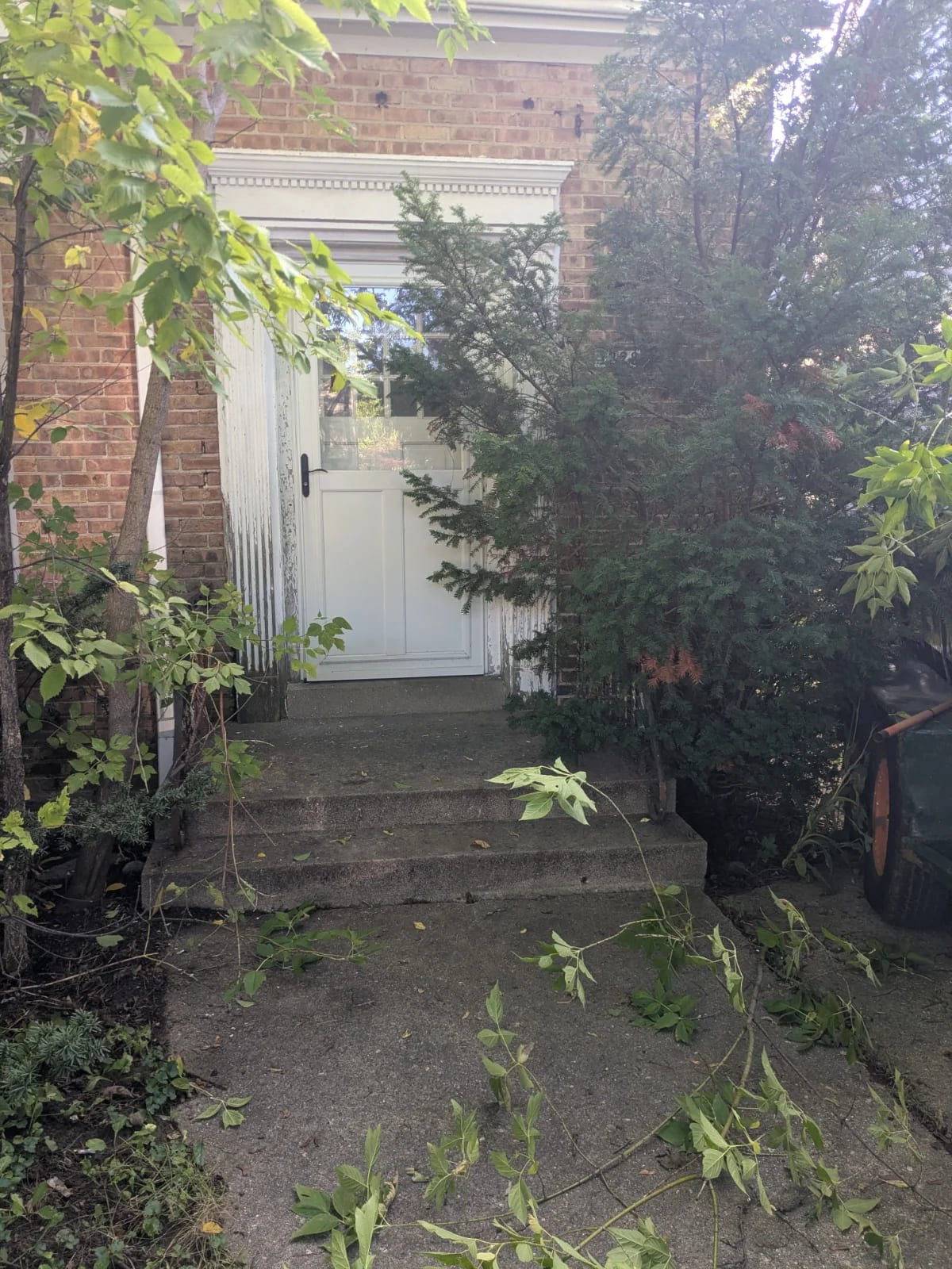 Home Care Outside Maintenance Service For Elder Care